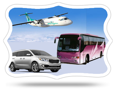 Domestic Travel & Transportation
